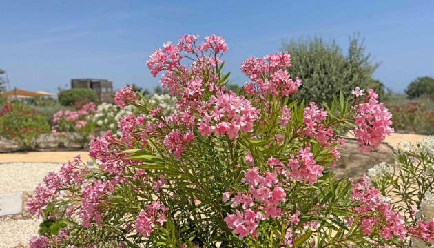 Resale - Apartment - Cartagena - La Manga del Mar Menor