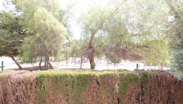 Resale - Bungalow - Orihuela Costa - Punta Prima