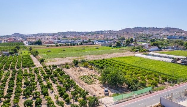 Перепродажа - Участок / Земельный участок - Formentera del Segura