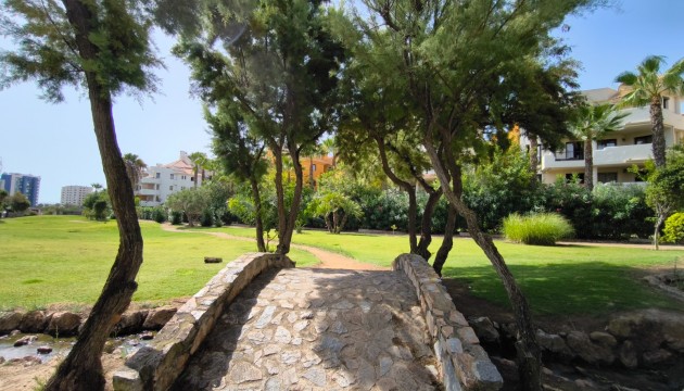 Resale - Apartment - Torrevieja - Punta Prima