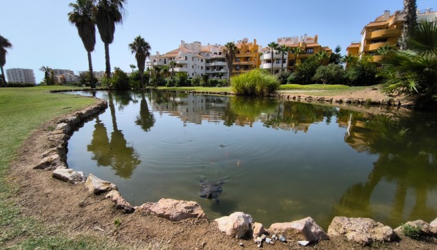 Resale - Apartment - Torrevieja - Punta Prima