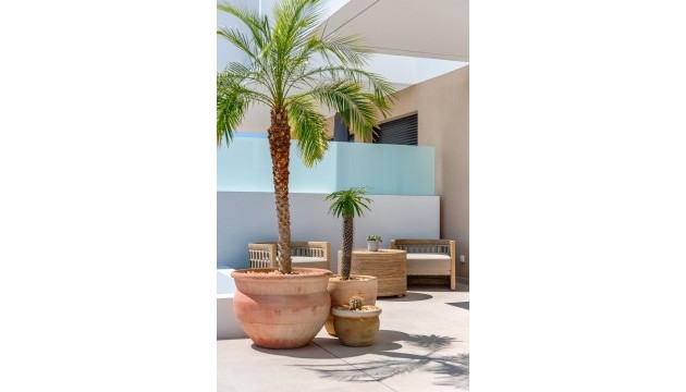 Nueva construcción  - Chalet Independiente - Dolores