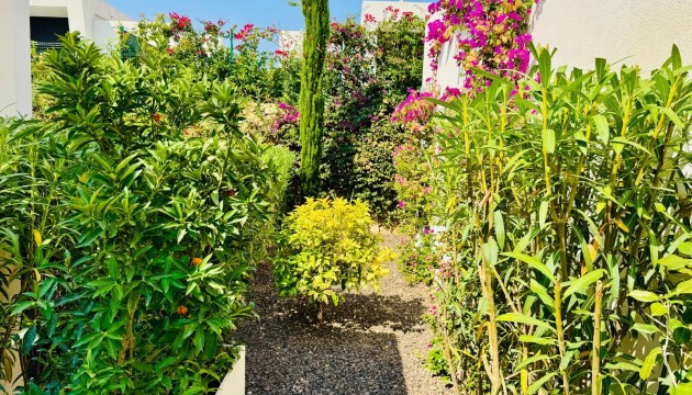 Resale - Detached Villa - Algorfa - La Finca Golf Resort