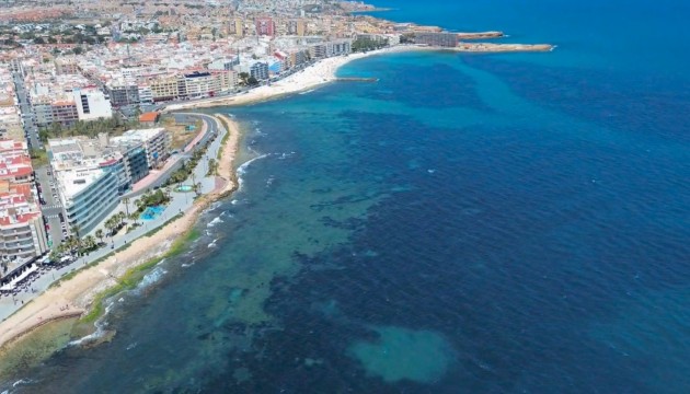 Resale - Apartment - Torrevieja - Playa del Cura