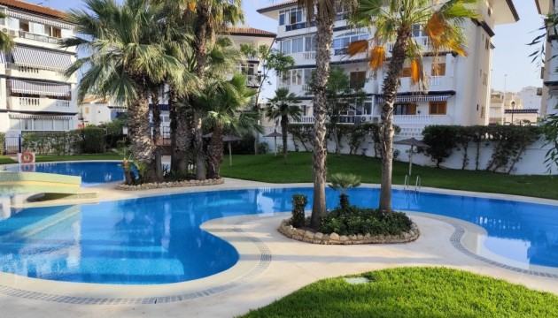 Videresalg - Studio - Torrevieja