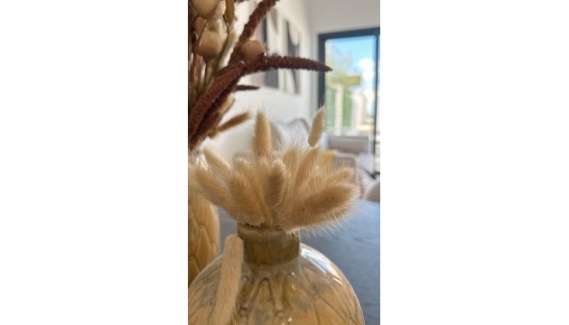 New Build - Bungalow - La Marina - San Fulgencio