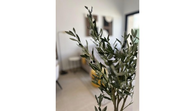 New Build - Bungalow - La Marina - San Fulgencio