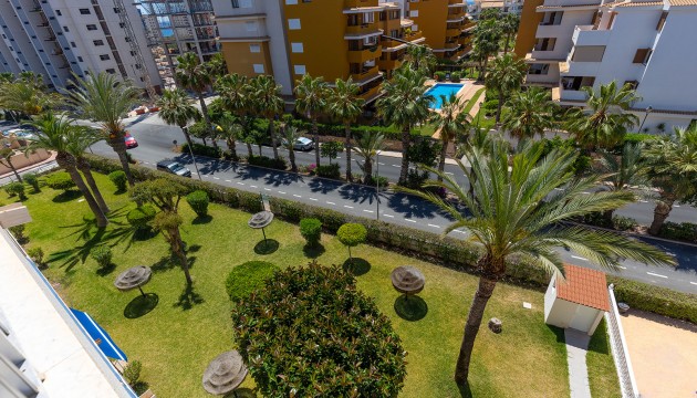Resale - Apartment - Torrevieja - Punta Prima