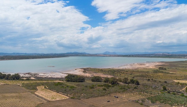 Resale - Apartment - La Mata - Torrelamata - La Mata