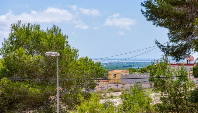 Wiederverkauf - Detached Villa - Jacarilla
