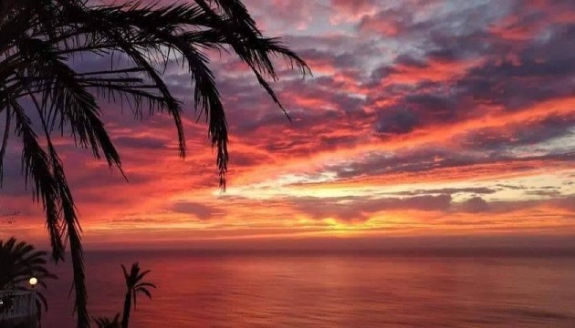 Новое здание - Бунгало - Torrevieja