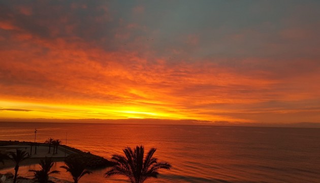 Herverkoop - Apartment - Torrevieja - Playa del Cura