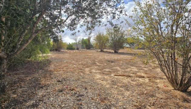 Begagnad - Landsbyggdshus - Los Montesinos