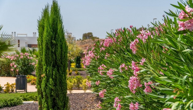 New Build - Apartment - Orihuela - Vistabella Golf