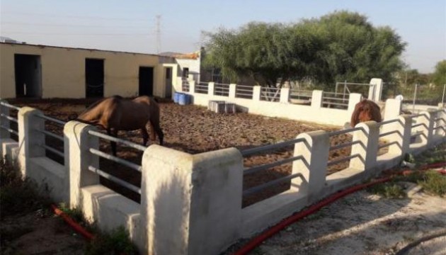 Resale - Detached Villa - La Matanza