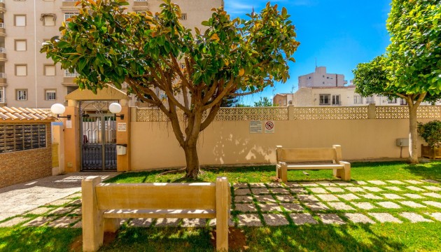 Resale - Apartment - Torrevieja