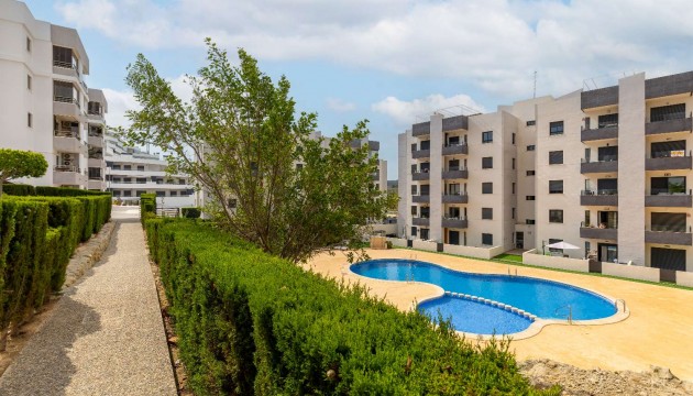 Reventa - Apartamento - San Miguel de Salinas