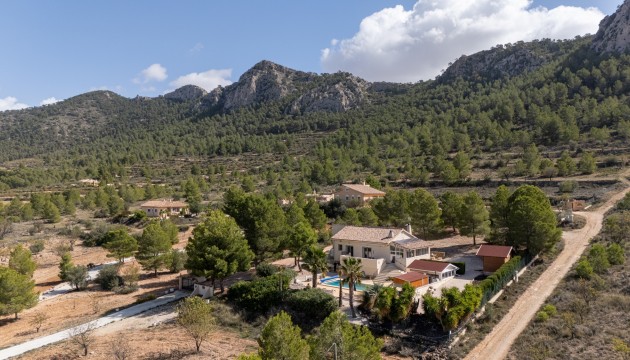 Videresalg - Villa - Detached - La Zarza