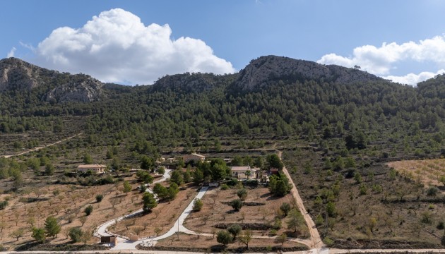 Videresalg - Villa - Detached - La Zarza