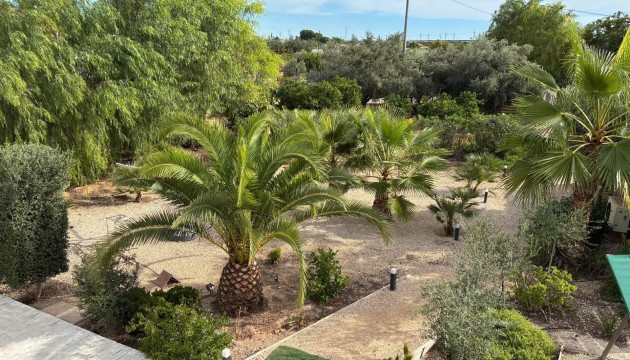 Wiederverkauf - Detached Villa - Crevillente