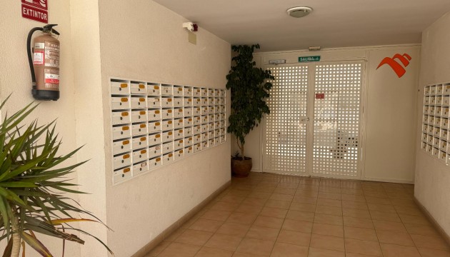 Begagnad - Lägenhet - Almoradi - Almoradí