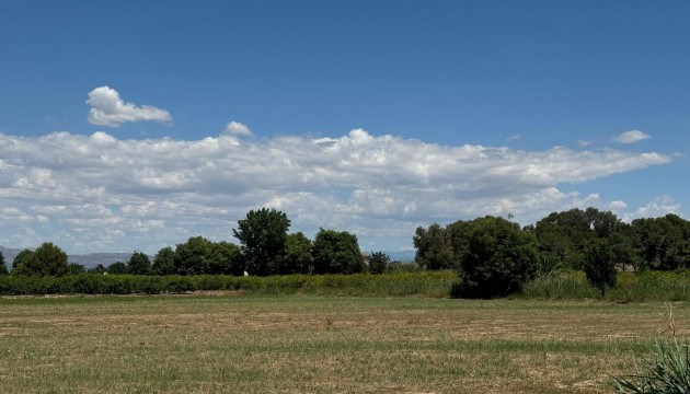 Begagnad - Lägenhet - Almoradi - Almoradí