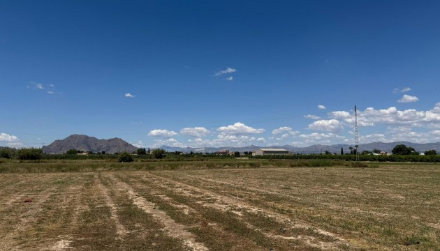 Begagnad - Lägenhet - Almoradi - Almoradí