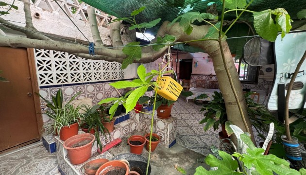 Wiederverkauf - House - Benejuzar - Benejúzar