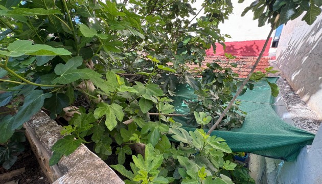 Wiederverkauf - House - Benejuzar - Benejúzar