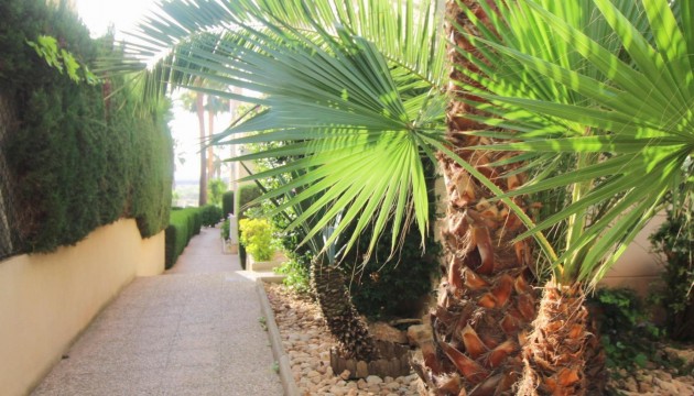 Resale - Apartment - Torrevieja - La Veleta