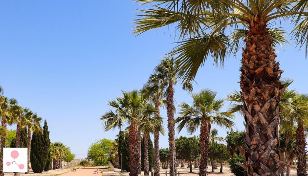 New Build - Detached Villa - La Marina - La Escuera