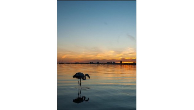 Resale - Apartment - Los Urrutias