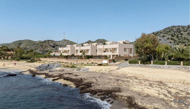 New Build - Detached Villa - Cuevas Del Almanzora - Cala Panizo