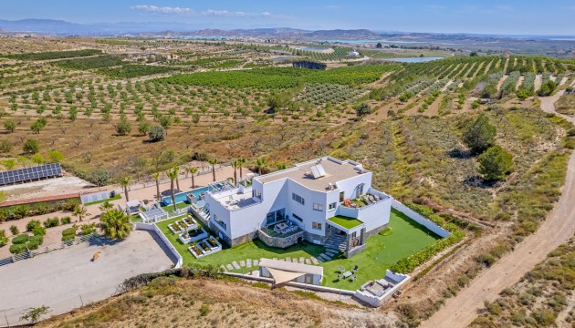 Wiederverkauf - Detached Villa - Torremendo