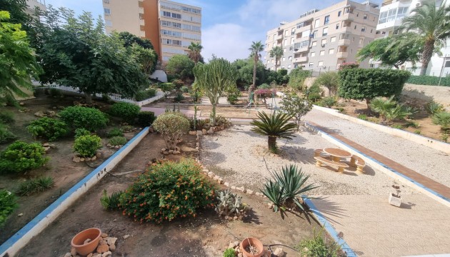 Resale - Apartment - Torrevieja - Torrelamata - La Mata