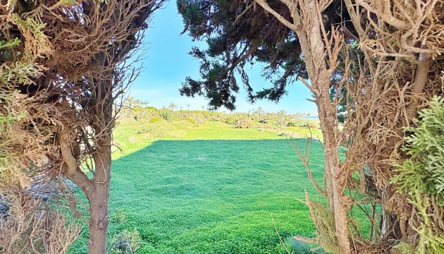 Resale - Apartment - Torrevieja - Punta Prima