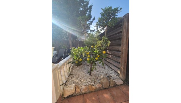 Перепродажа - отдельная вилла - San Miguel de Salinas