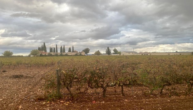 Resale - Commercial - Albacete