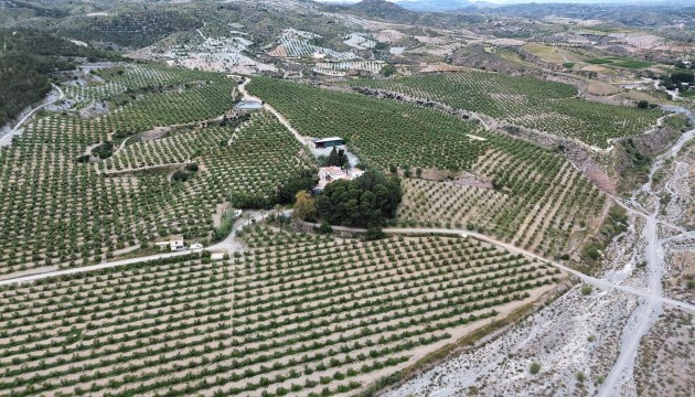 Resale - Plot / Land - Murcia - Rincón de Seca