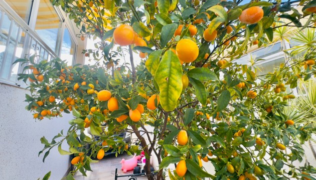 Resale - Detached Villa - Orihuela Costa - Playa Flamenca