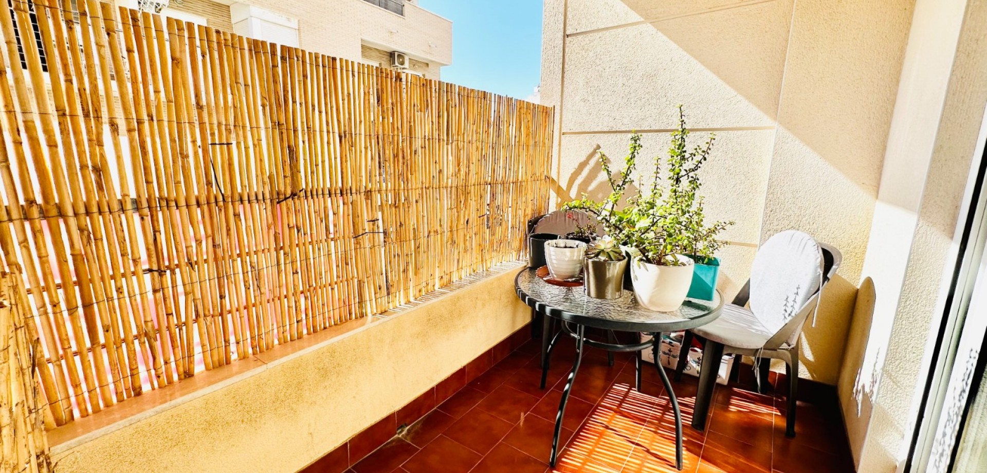 Apartment in Torrevieja - view 1