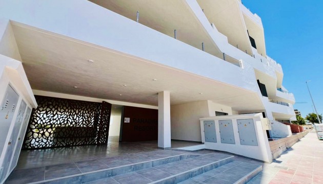 Begagnad - Lägenhet - San Miguel de Salinas