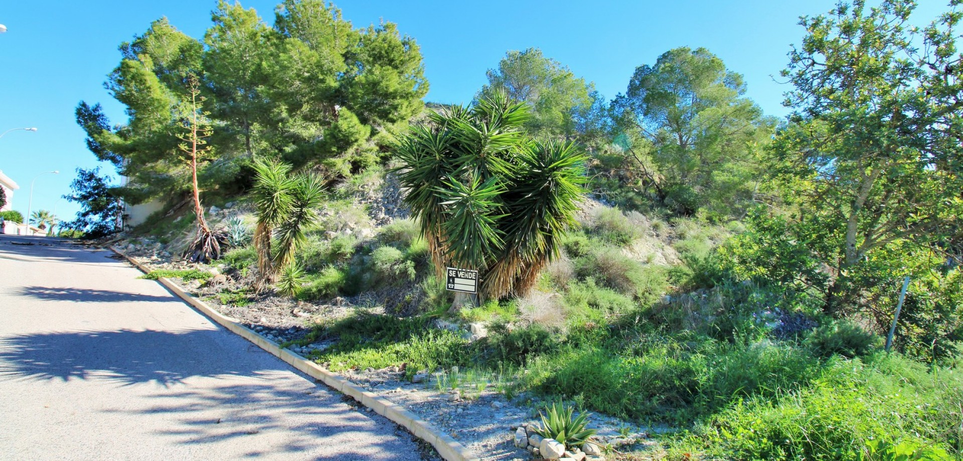 House in San Miguel de Salinas - Image 3