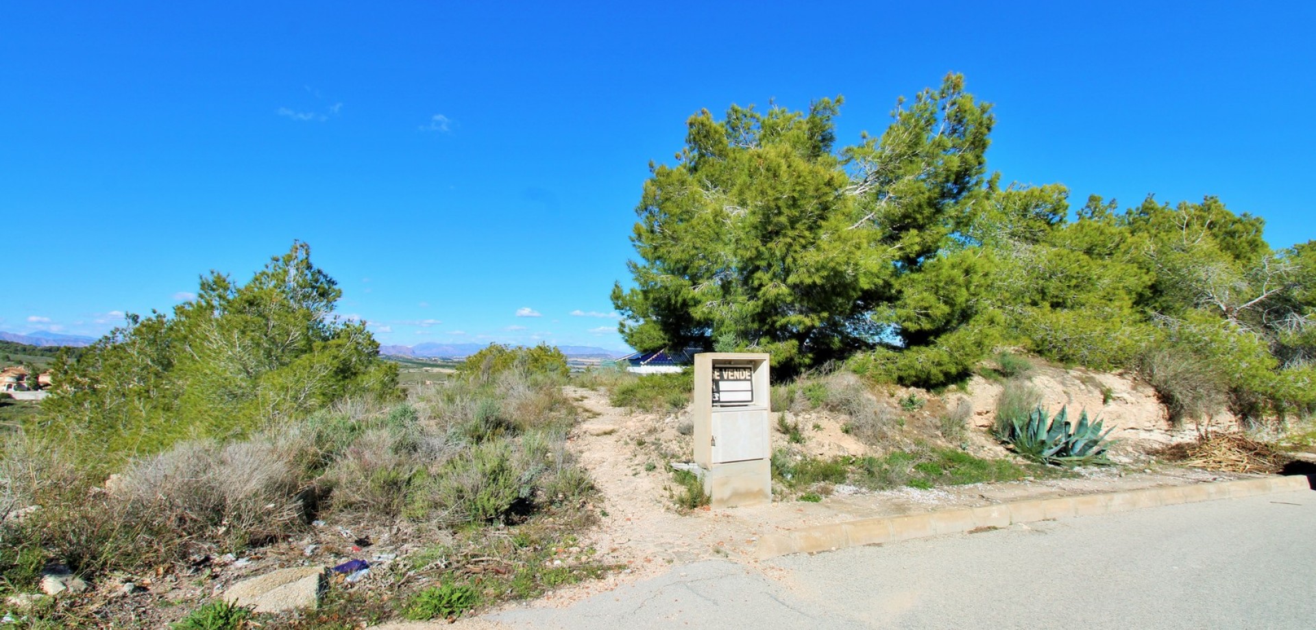 House in San Miguel de Salinas - Image 3