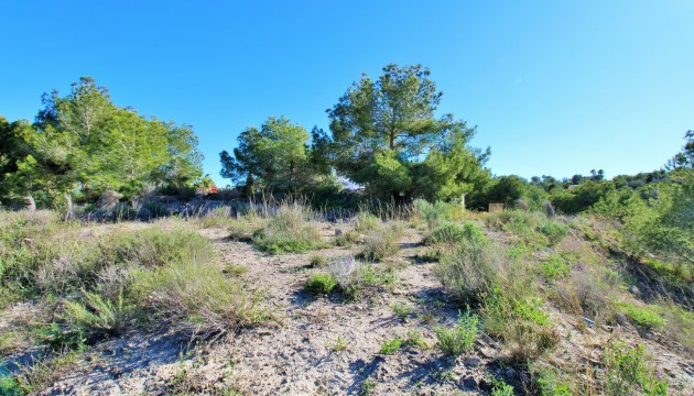 Resale - Plot / Land - San Miguel de Salinas