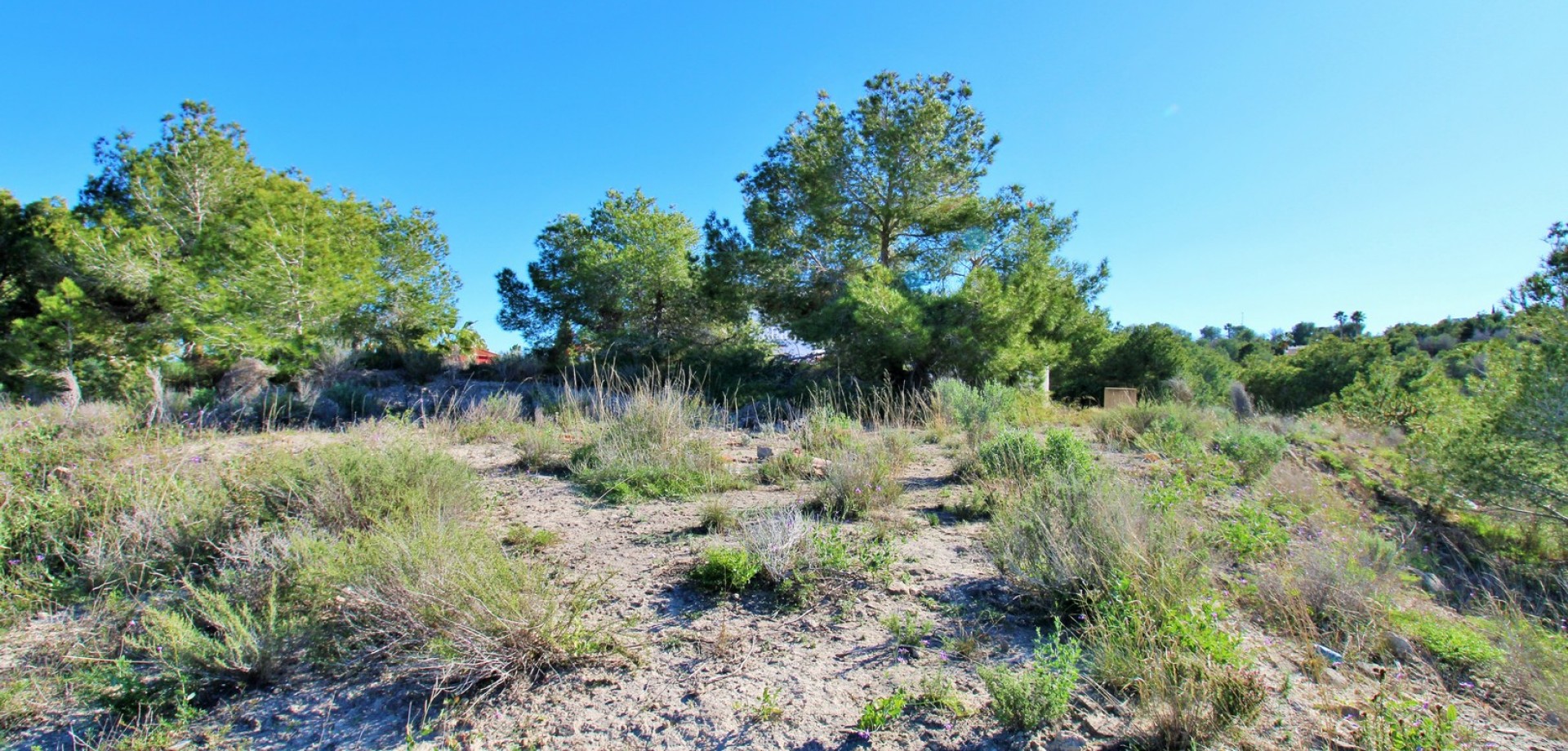 House in San Miguel de Salinas - Image 4