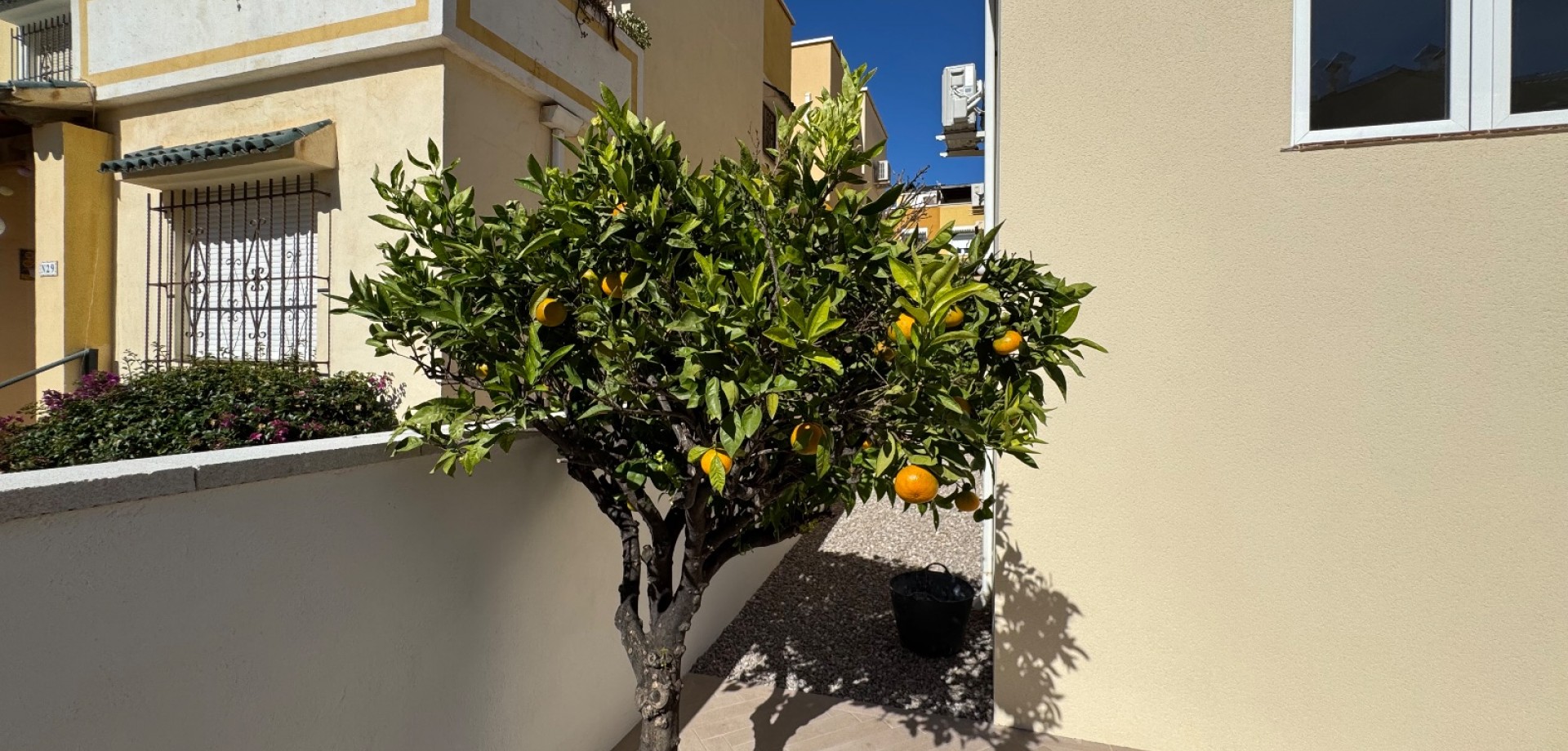 House in La Zenia - Image 3