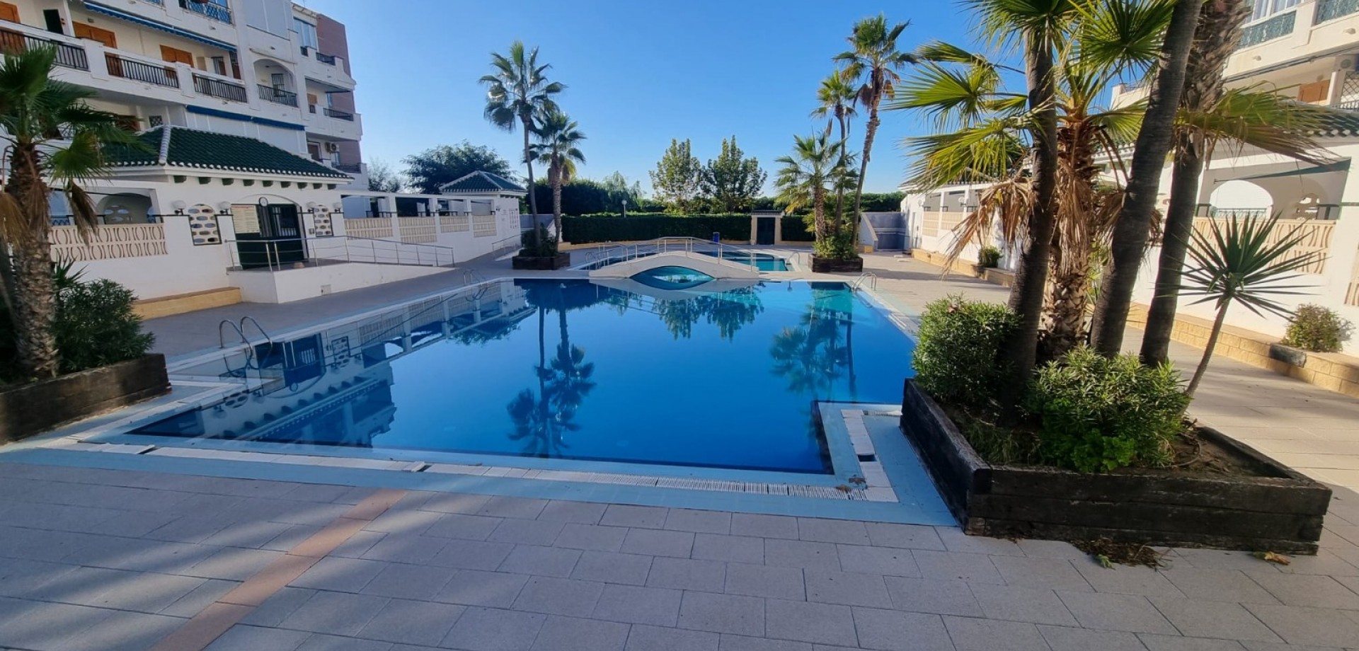 Apartment in Torrelamata - Image 2