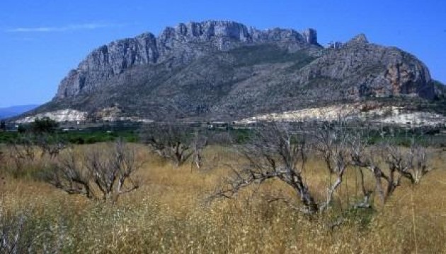 Nybyggnation - Lägenhet - El Verger