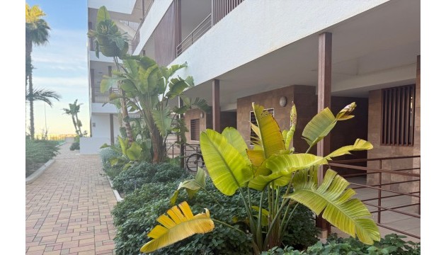 Resale - Apartment - Orihuela Costa - Lomas de Cabo Roig